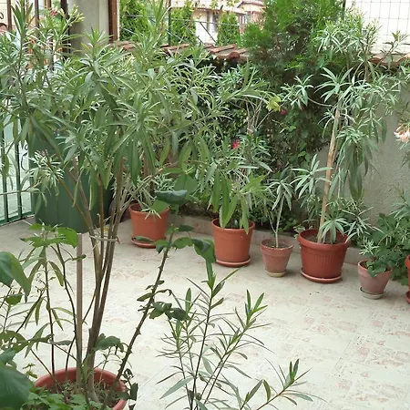 Kyshta Za Gosti Pri Krystyo I Vanya Konukevi *